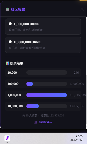投票结果